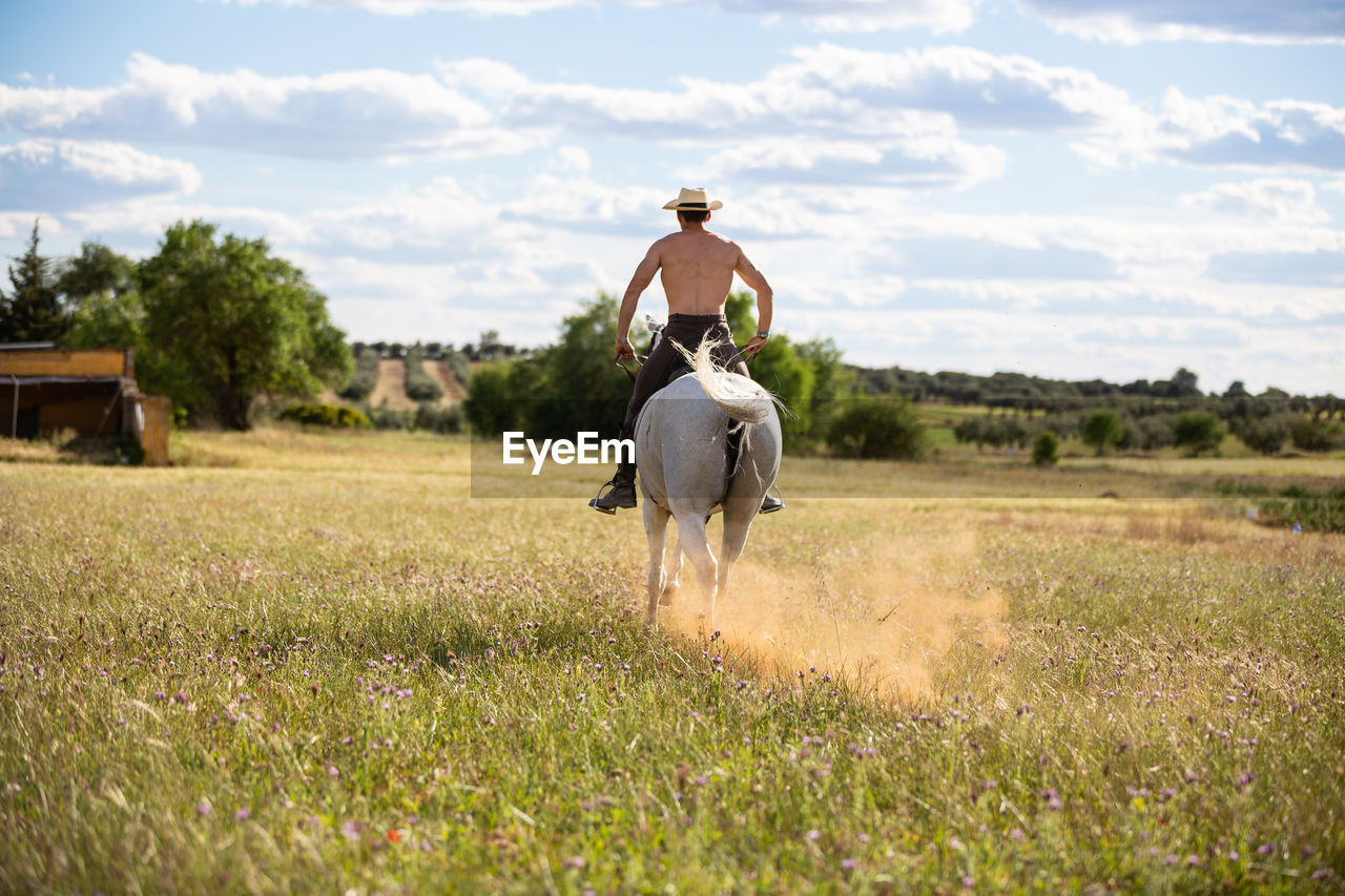 VIEW OF HORSE RIDING