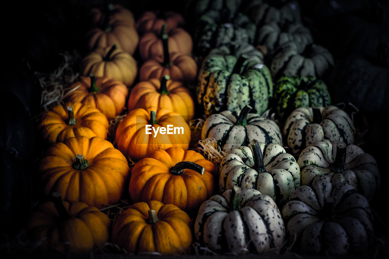 Full frame shot of pumpkins