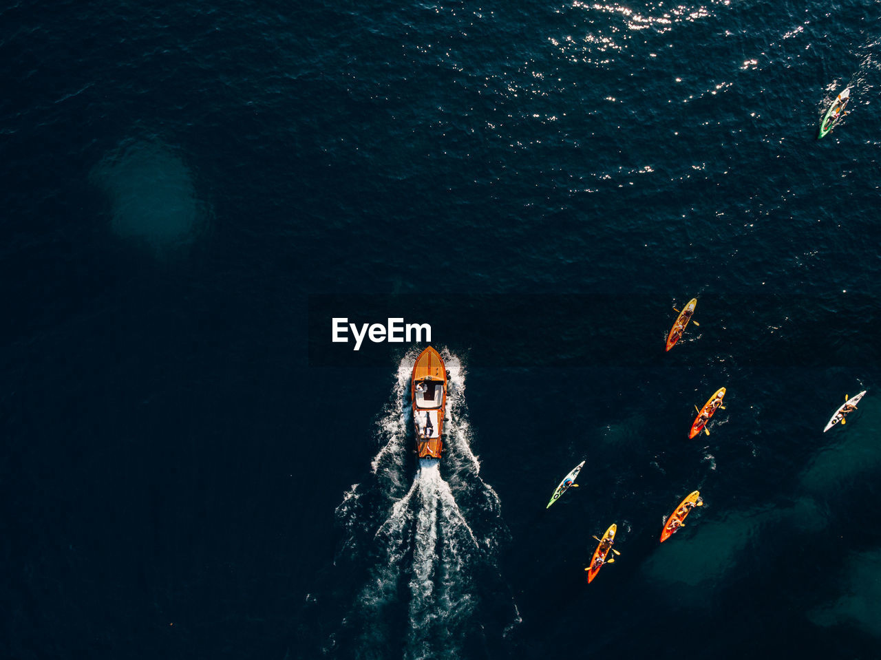 HIGH ANGLE VIEW OF FISH SWIMMING UNDERWATER