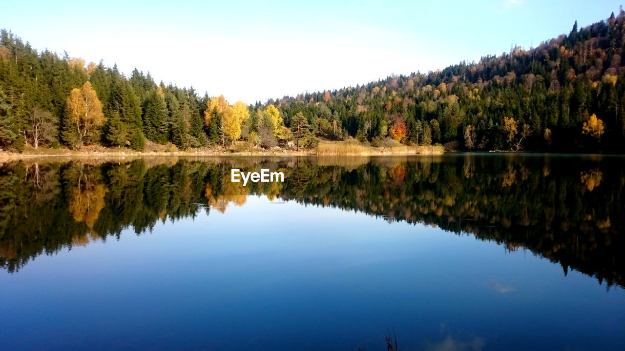 Reflection of trees in lake against sky