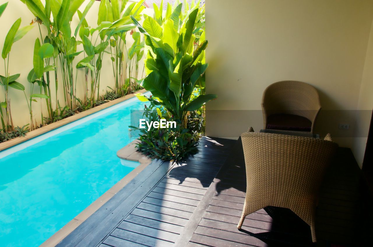 Potted plants in swimming pool