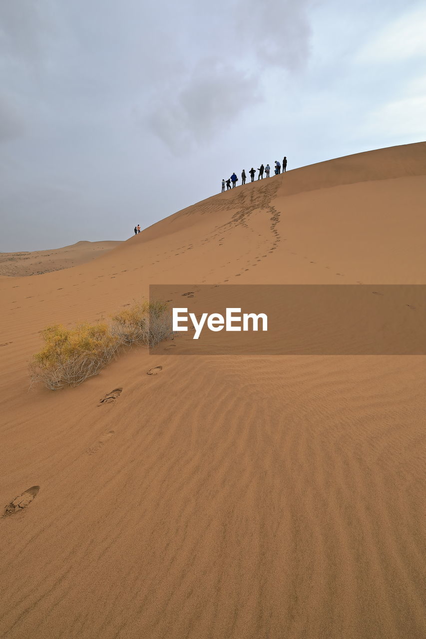 1028 tourists atop a sand dune-badain jaran desert-foot trails on the floor. inner mongolia-china.
