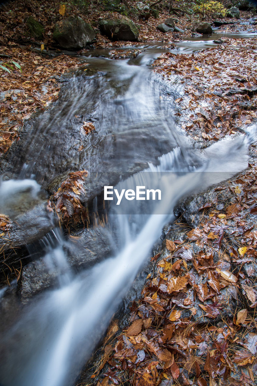 SCENIC VIEW OF WATERFALL