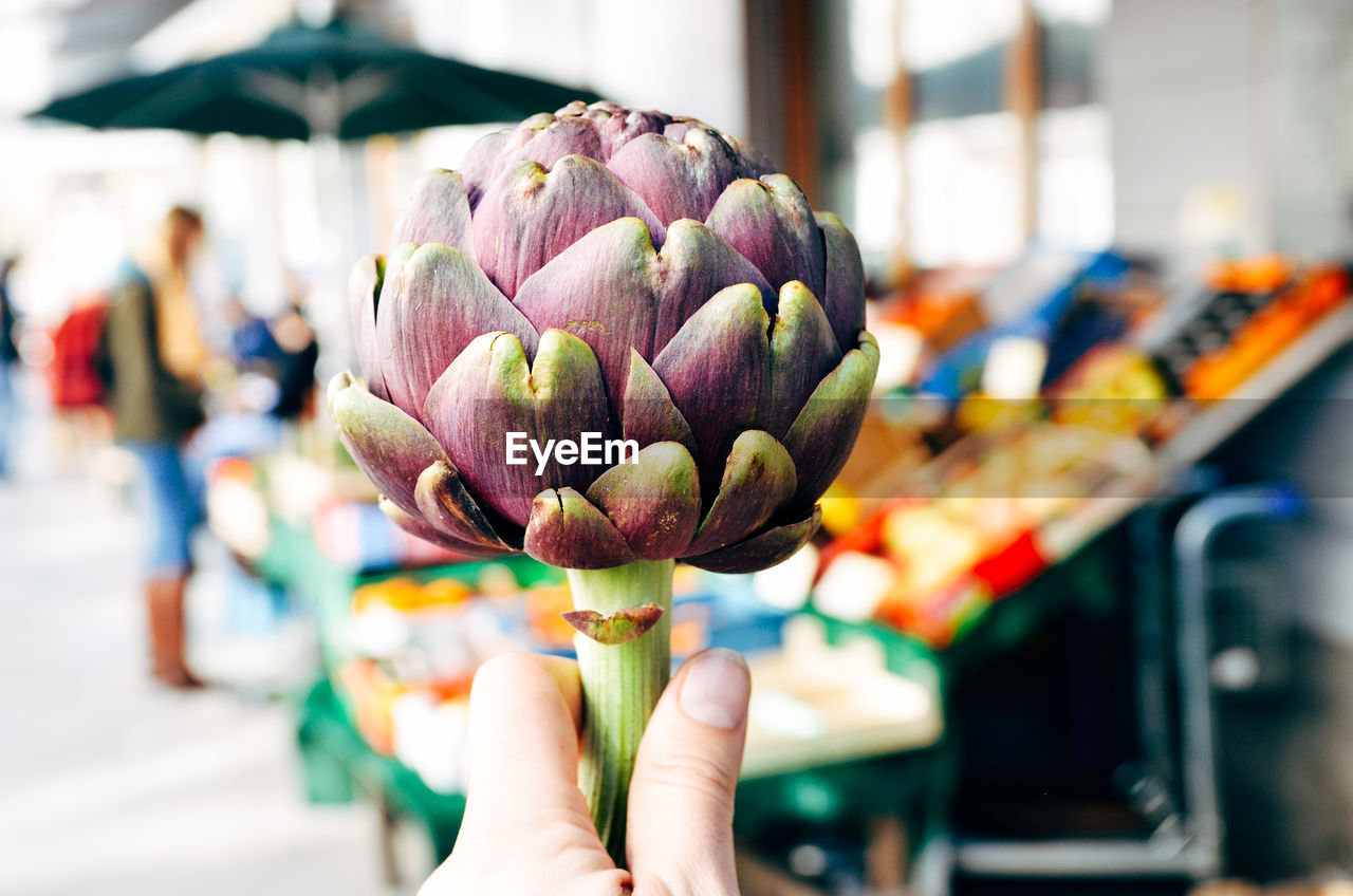 Close-up of hand holding artichoke at market