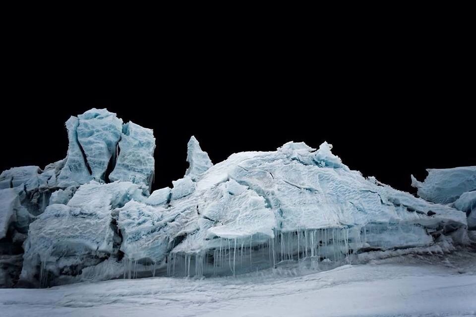 SNOW COVERED TREES AT NIGHT