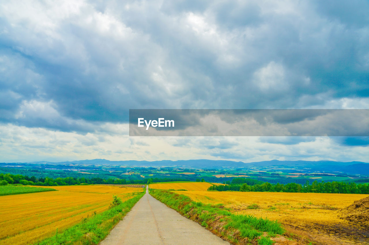 landscape, environment, horizon, cloud, sky, field, plain, prairie, grassland, rural scene, scenics - nature, land, beauty in nature, agriculture, nature, plant, road, rural area, rapeseed, grass, meadow, the way forward, tranquility, no people, hill, tranquil scene, horizon over land, farm, transportation, green, cloudscape, non-urban scene, travel, day, diminishing perspective, travel destinations, canola, crop, outdoors, blue, steppe, vanishing point, dirt road, flower, idyllic, yellow, country road, urban skyline, footpath, cereal plant, multi colored, springtime, remote, vibrant color, summer, tourism, dramatic sky, tree, freshness, sunlight, overcast, panoramic, plateau, dirt, growth, morning