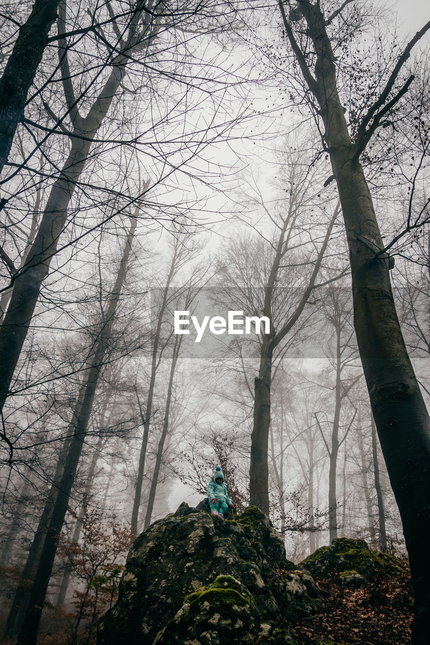 Low angle view of child on rock formation amidst bare trees in forest during foggy weather