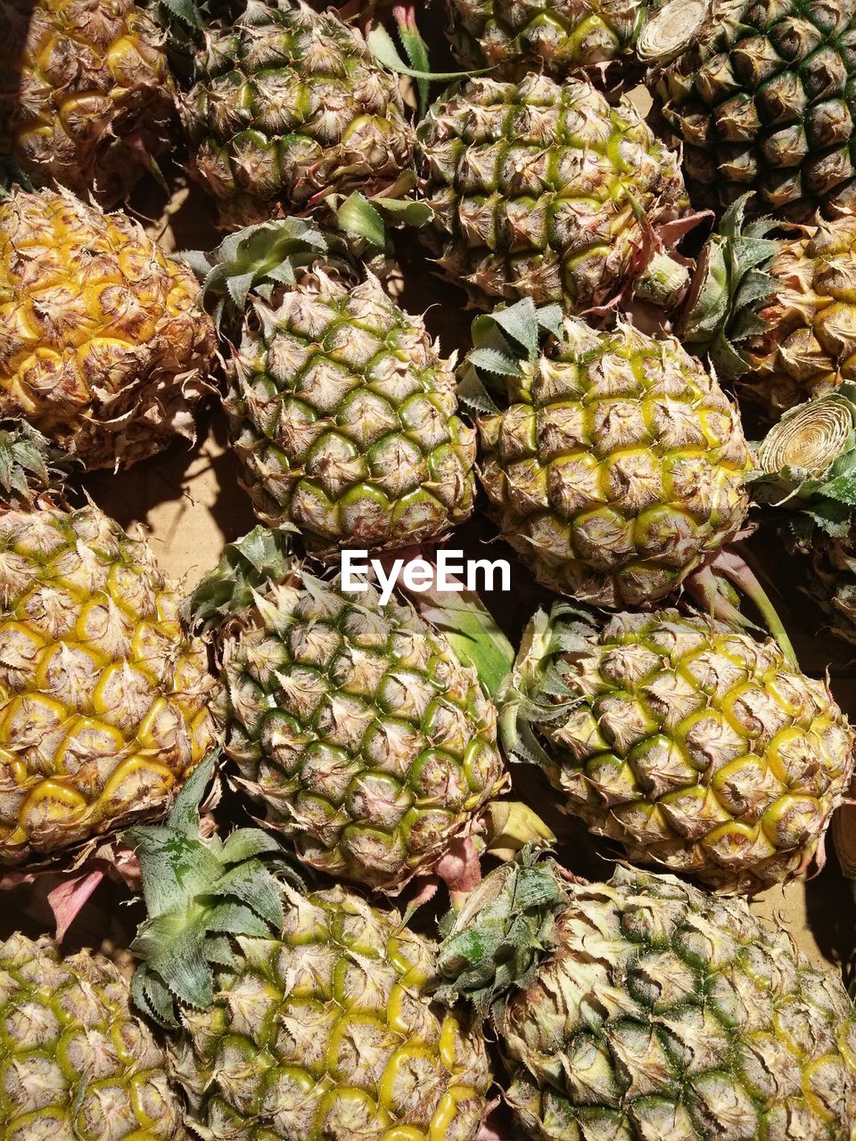 FULL FRAME SHOT OF FRUITS FOR SALE