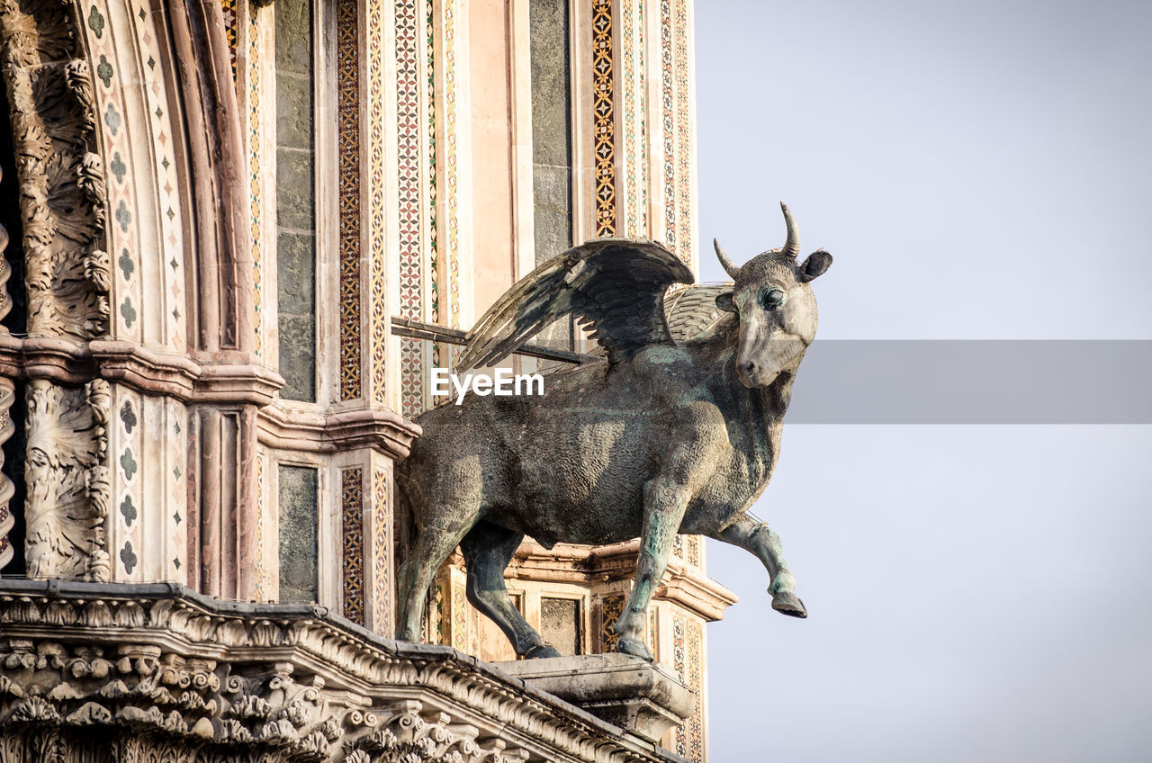 LOW ANGLE VIEW OF HORSE STATUE