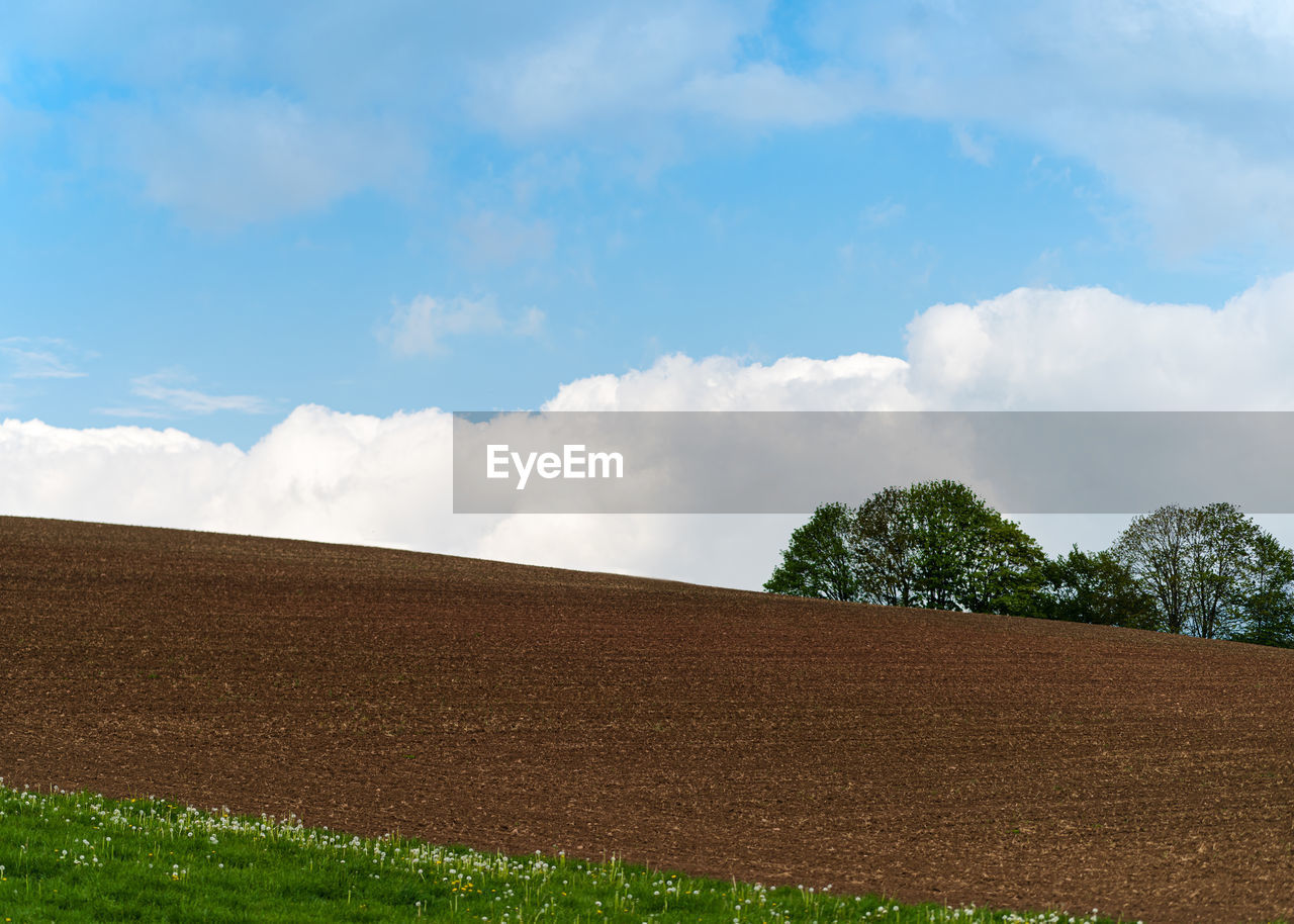 Spring landscape of an agricultural black field with trees, blue sky and clouds.