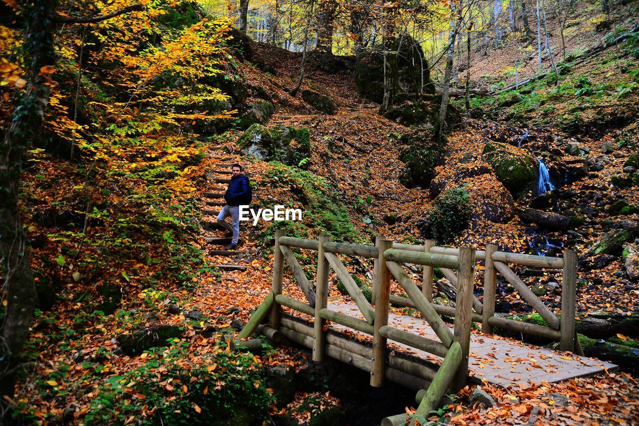 Man at forest during autumn