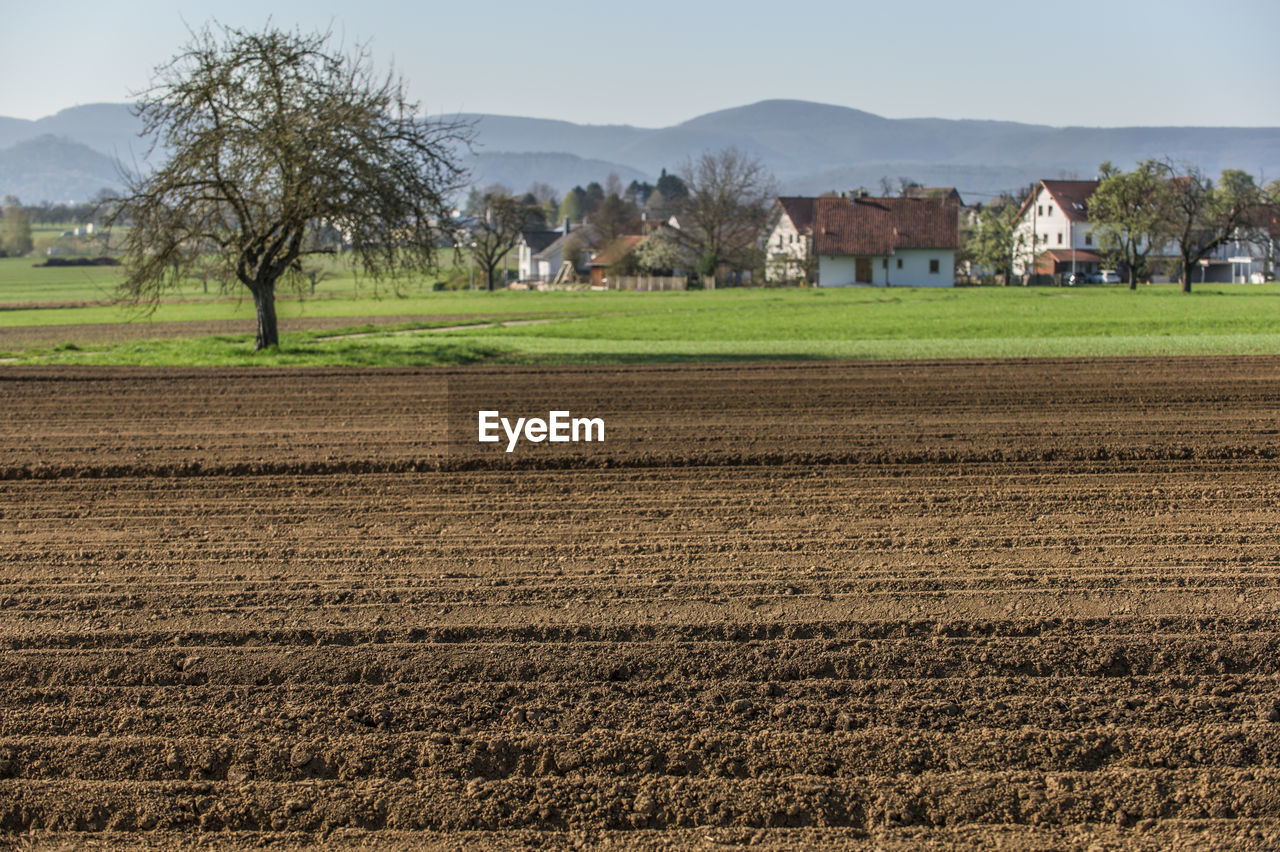 Asparagus field in front of rural scene from swabian alb