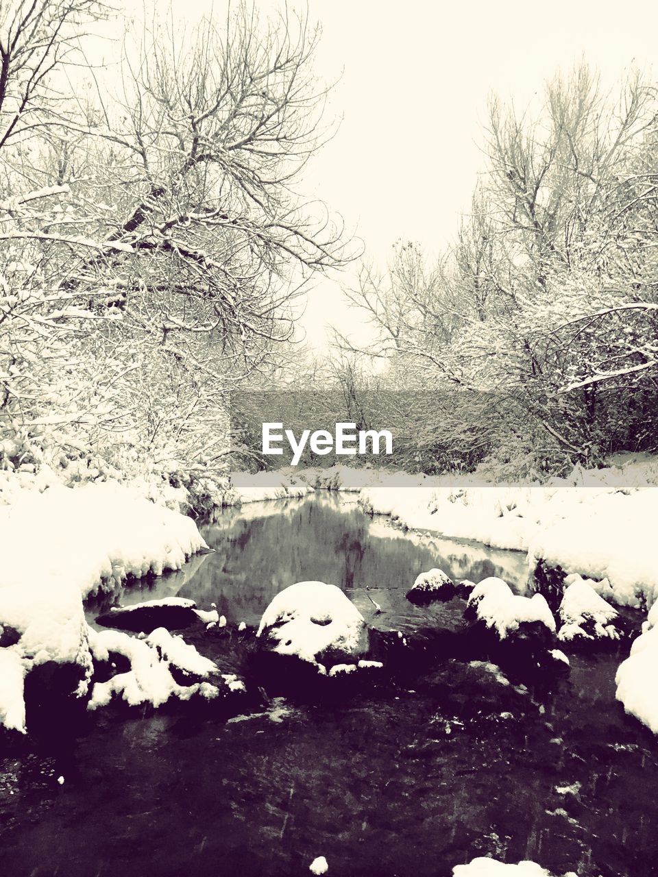 SNOW COVERED LANDSCAPE AGAINST CLEAR SKY