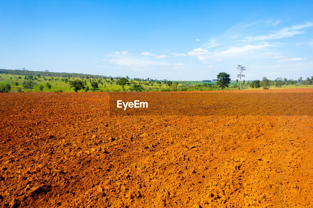 FIELD AGAINST SKY