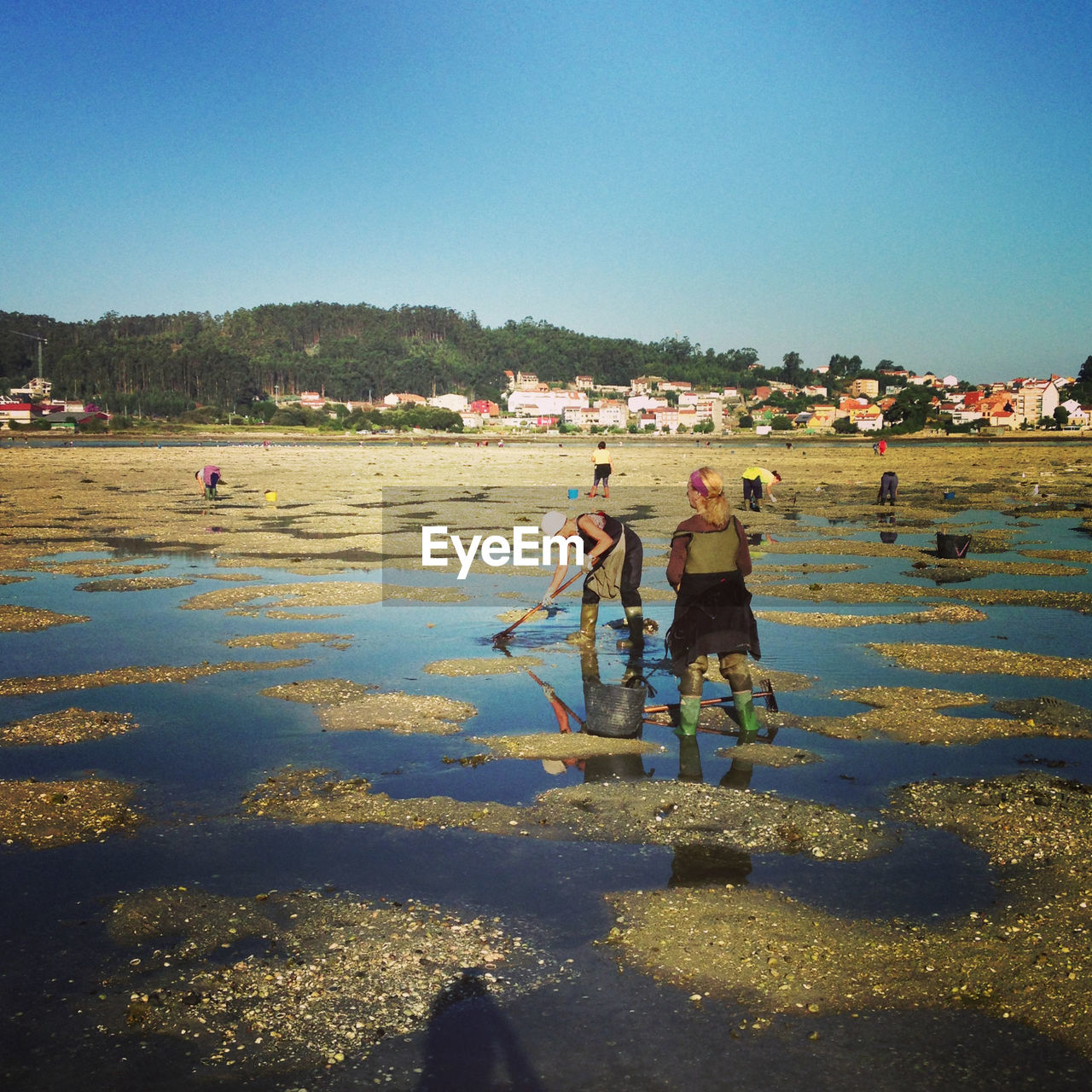 People cleaning beach against clear sky