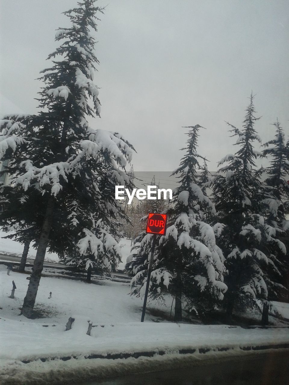 ROAD SIGN ON SNOW COVERED TREE AGAINST SKY