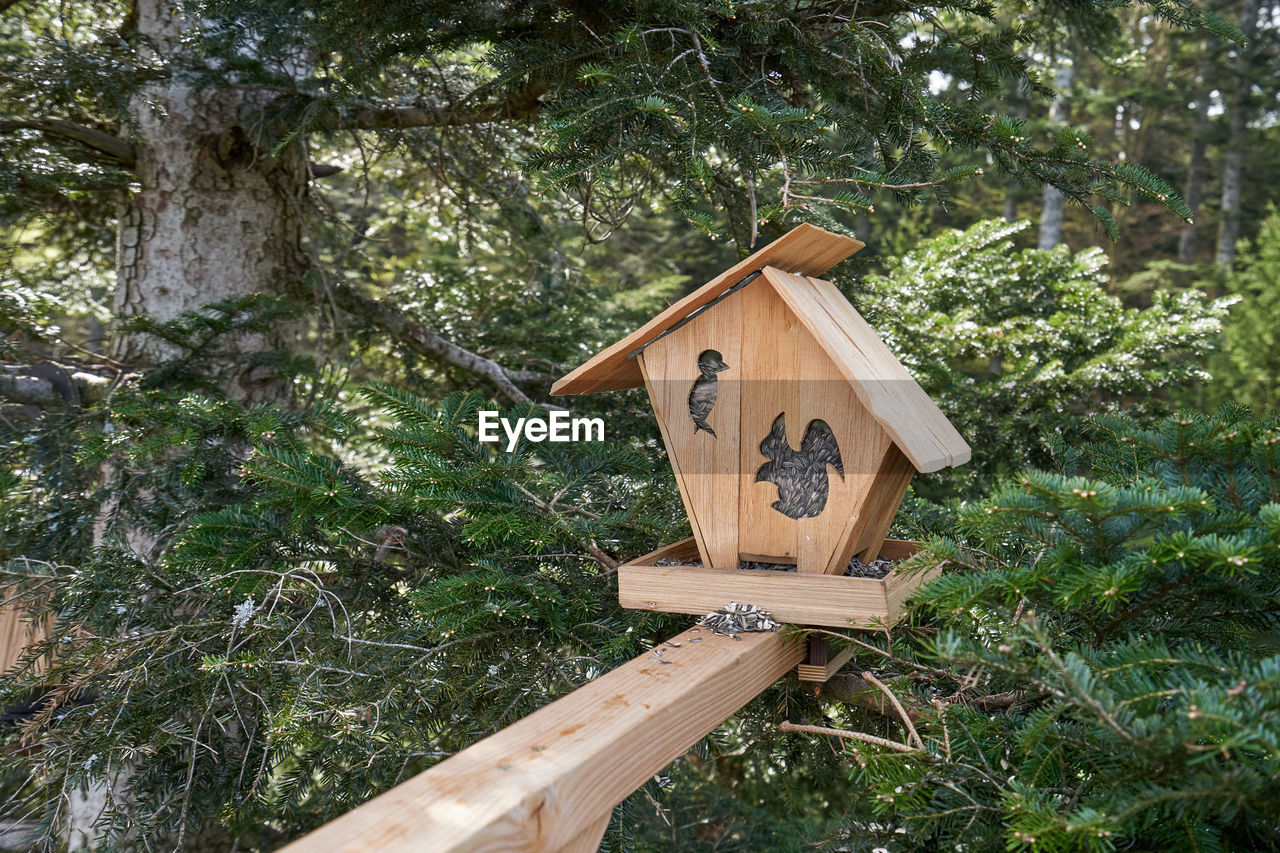 LOW ANGLE VIEW OF BIRDHOUSE ON TREE