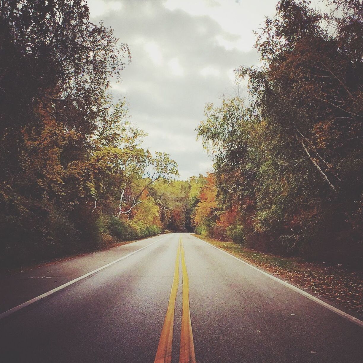 Empty road with trees in background