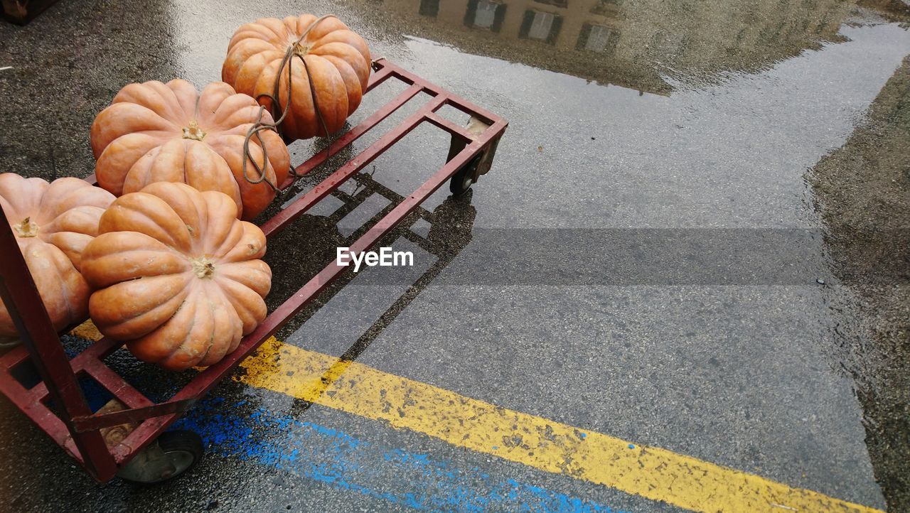 HIGH ANGLE VIEW OF PUMPKIN ON STREET