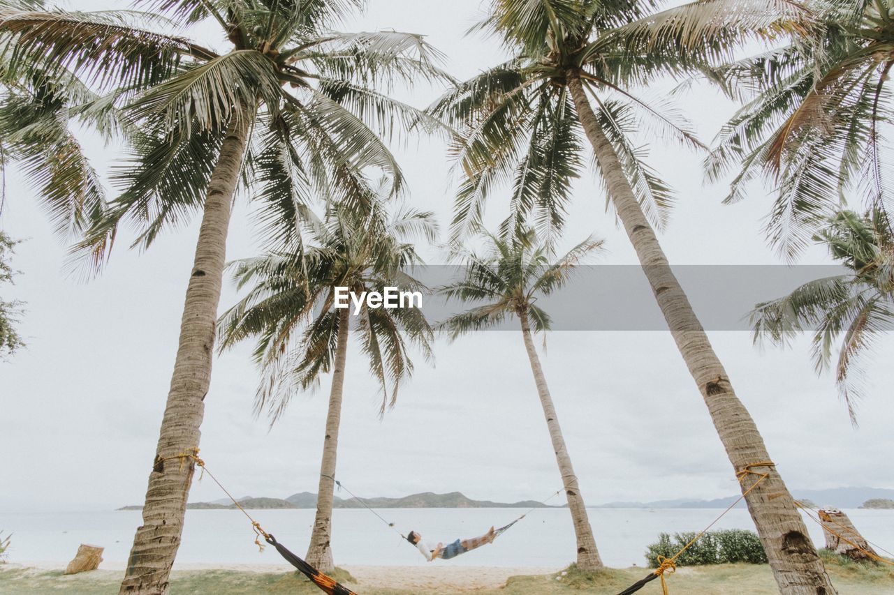 Man relaxing on hammock amidst palm trees against sea at beach