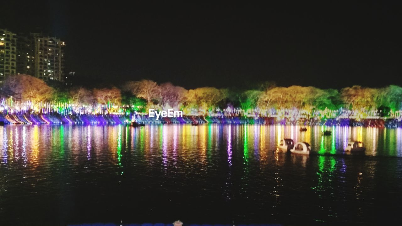 VIEW OF SWANS IN LAKE