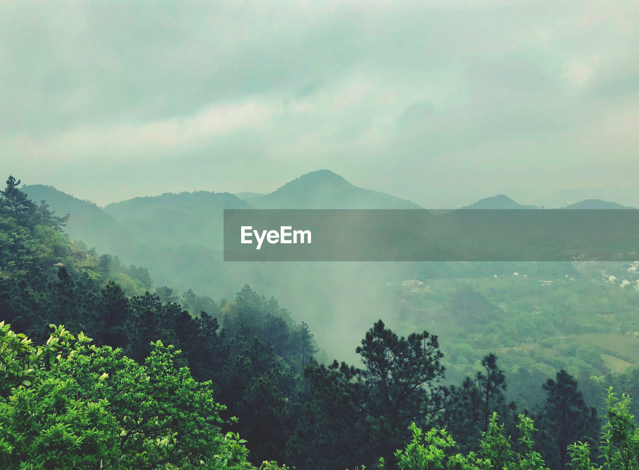 Scenic view of trees and mountains against sky