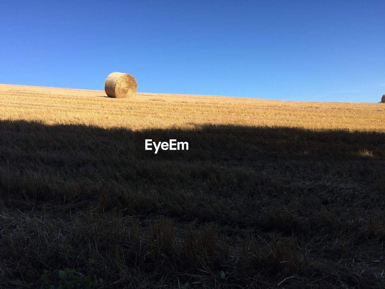 HAY IN FIELD AGAINST CLEAR BLUE SKY