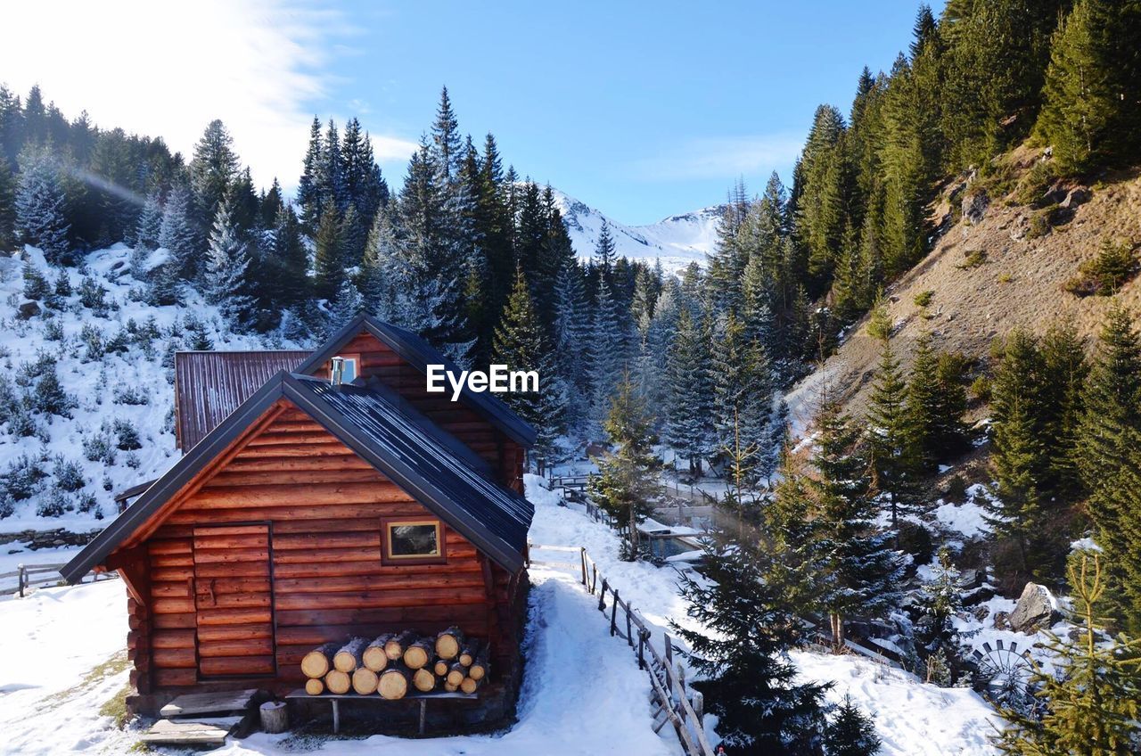 Snow covered trees by mountain against sky