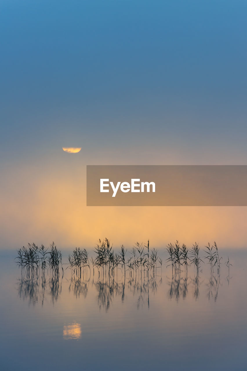 Dawn over lake finnsjön, mölnlycke, sweden, europe