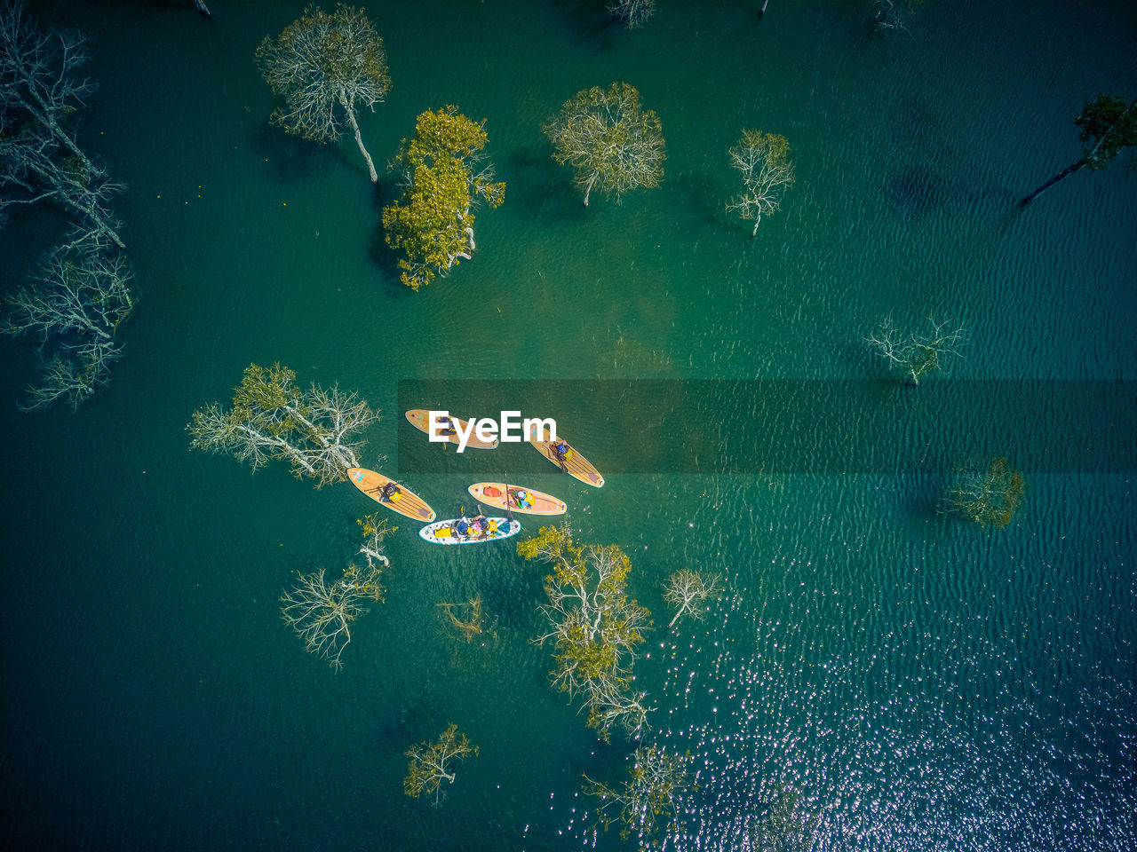 High angle view of swimming in sea