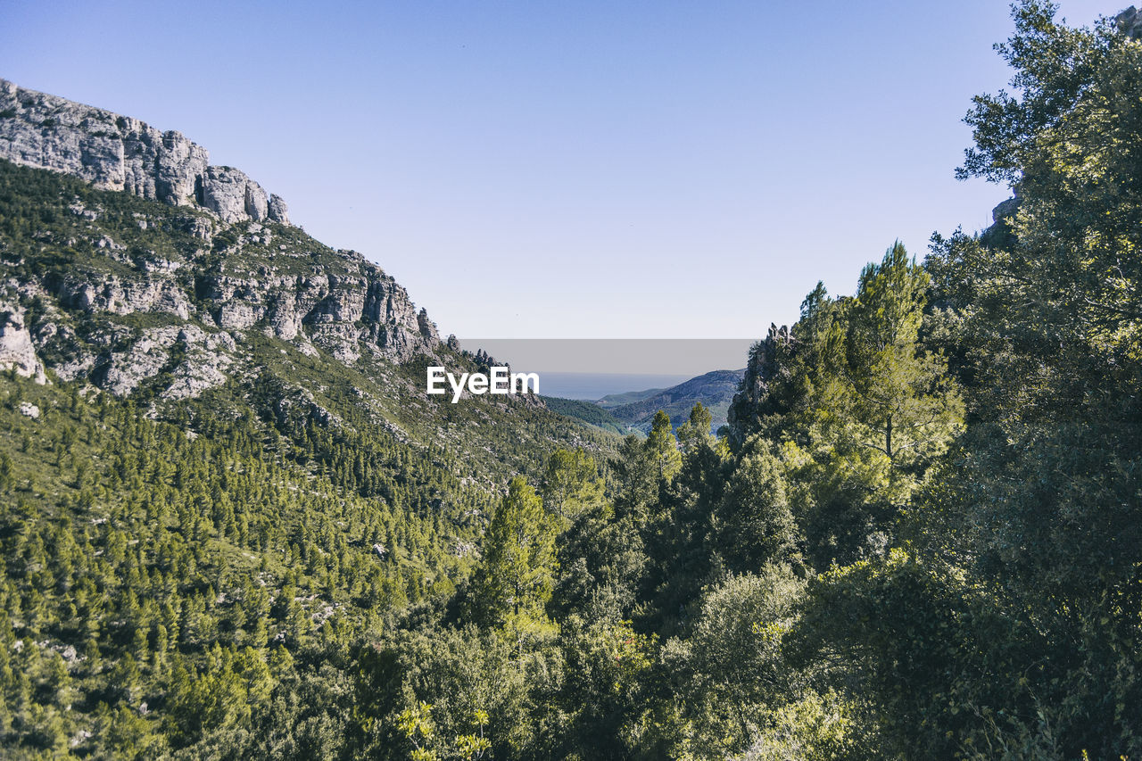 View from the top of a mountain in catalonia. photograph with space for text
