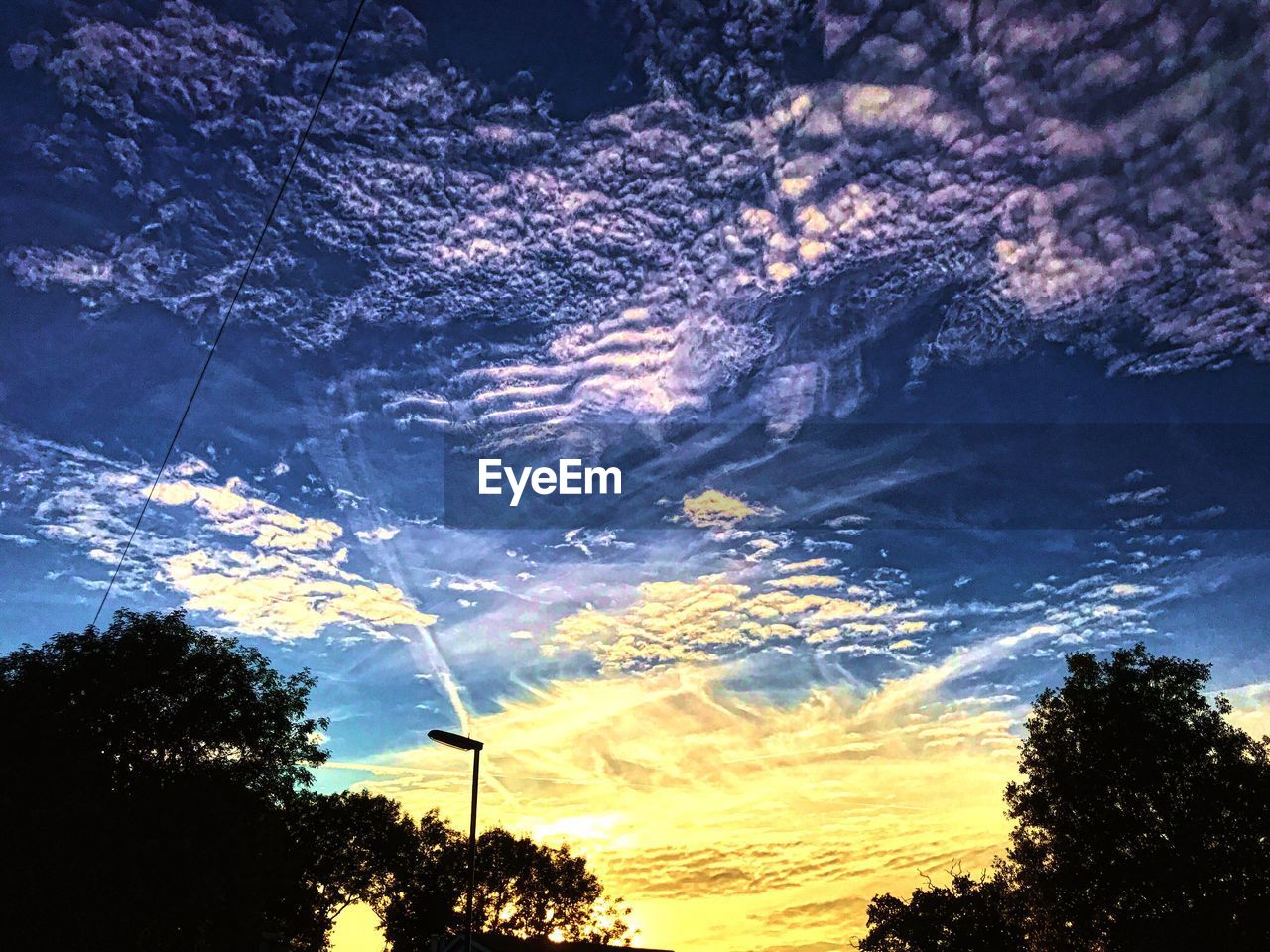 LOW ANGLE VIEW OF SILHOUETTE TREE AGAINST SKY