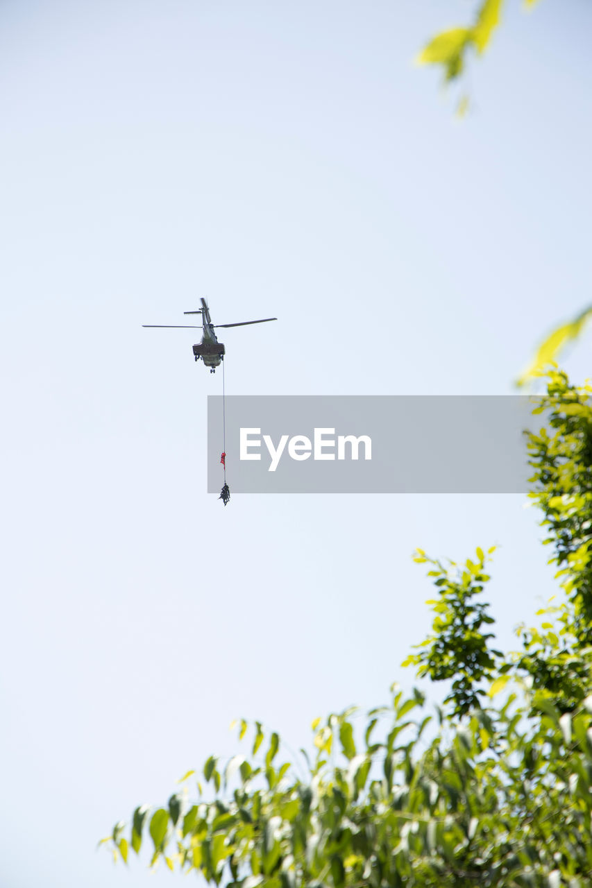 LOW ANGLE VIEW OF AIRPLANE FLYING AGAINST SKY