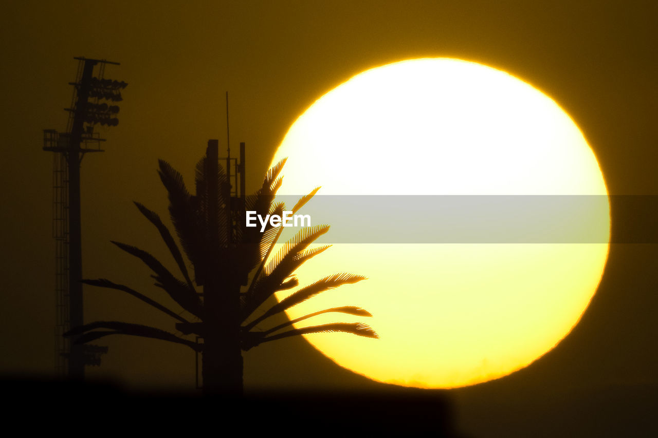 CLOSE-UP OF SILHOUETTE TREE AGAINST YELLOW SKY