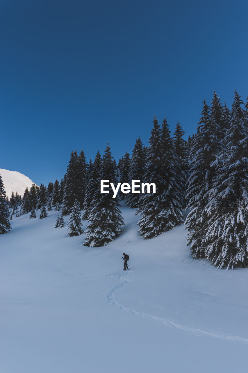 An unrecognizable male hiker wearing snowshoes walking in a forest in the french alps