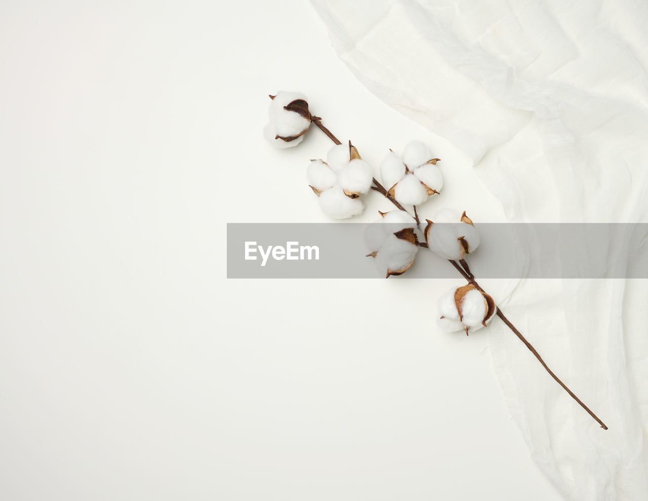 Piece of white gauze and a sprig with white cotton flowers on the table, top view, copy space