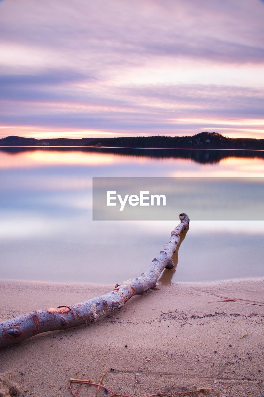 Long exposure landscape of lake shore with dead tree trunk fallen into water