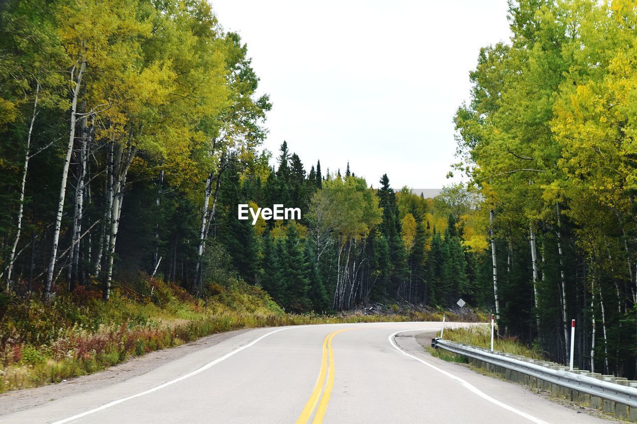 Country road amidst trees in forest against sky