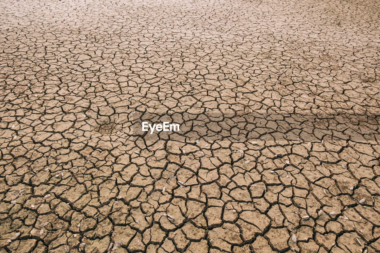 FULL FRAME SHOT OF CRACKED LAND IN BACKGROUND