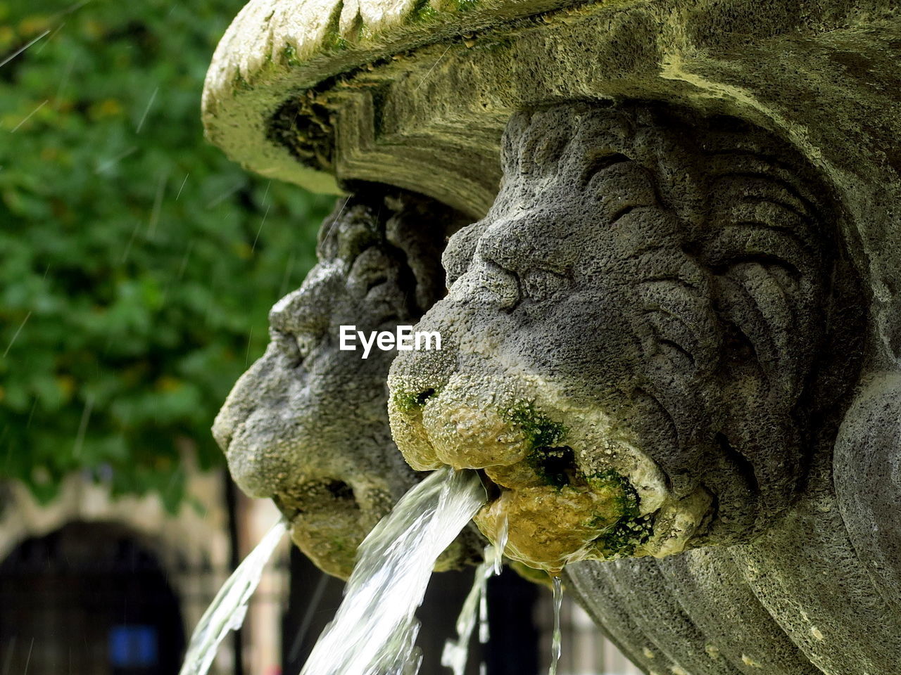 CLOSE-UP OF ELEPHANT STATUE AT WATER