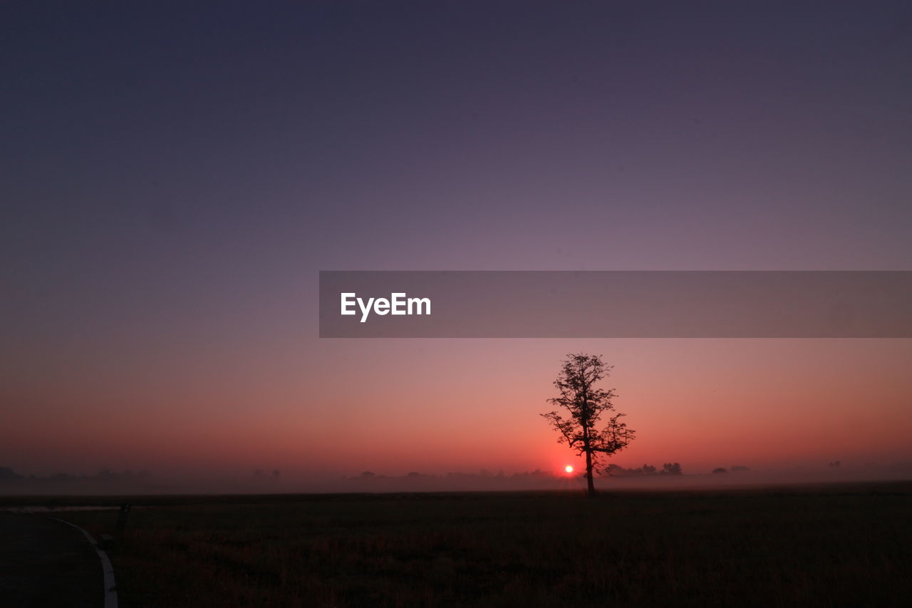 sky, sunset, horizon, dawn, plant, beauty in nature, landscape, scenics - nature, tranquility, tranquil scene, environment, nature, field, tree, silhouette, evening, land, no people, orange color, afterglow, copy space, idyllic, non-urban scene, cloud, rural scene, horizon over land, outdoors, agriculture, growth, twilight