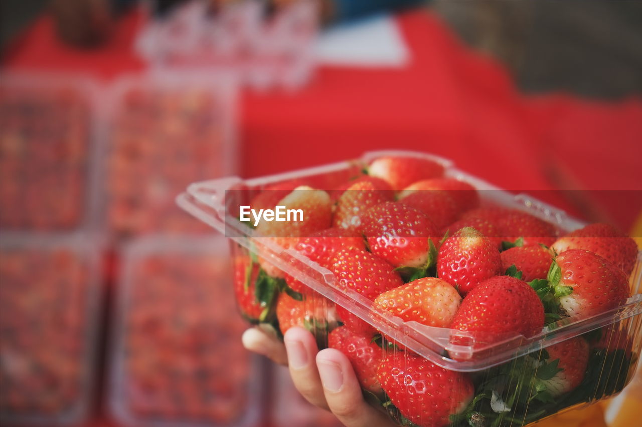 Close-up of hand holding strawberries