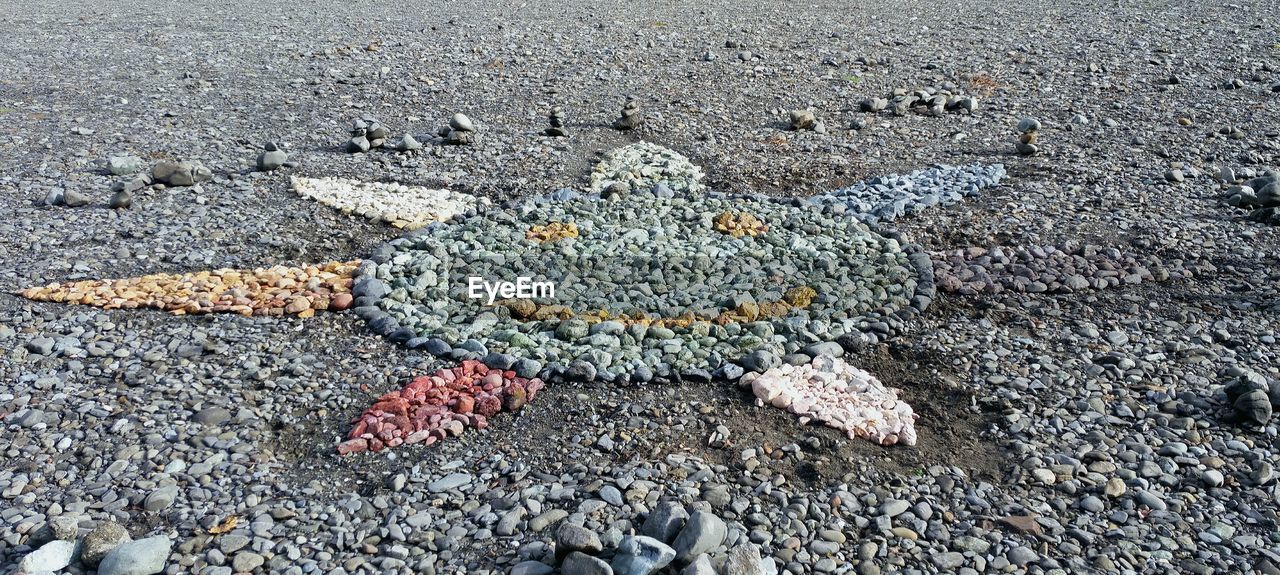 HIGH ANGLE VIEW OF FACE ON BEACH