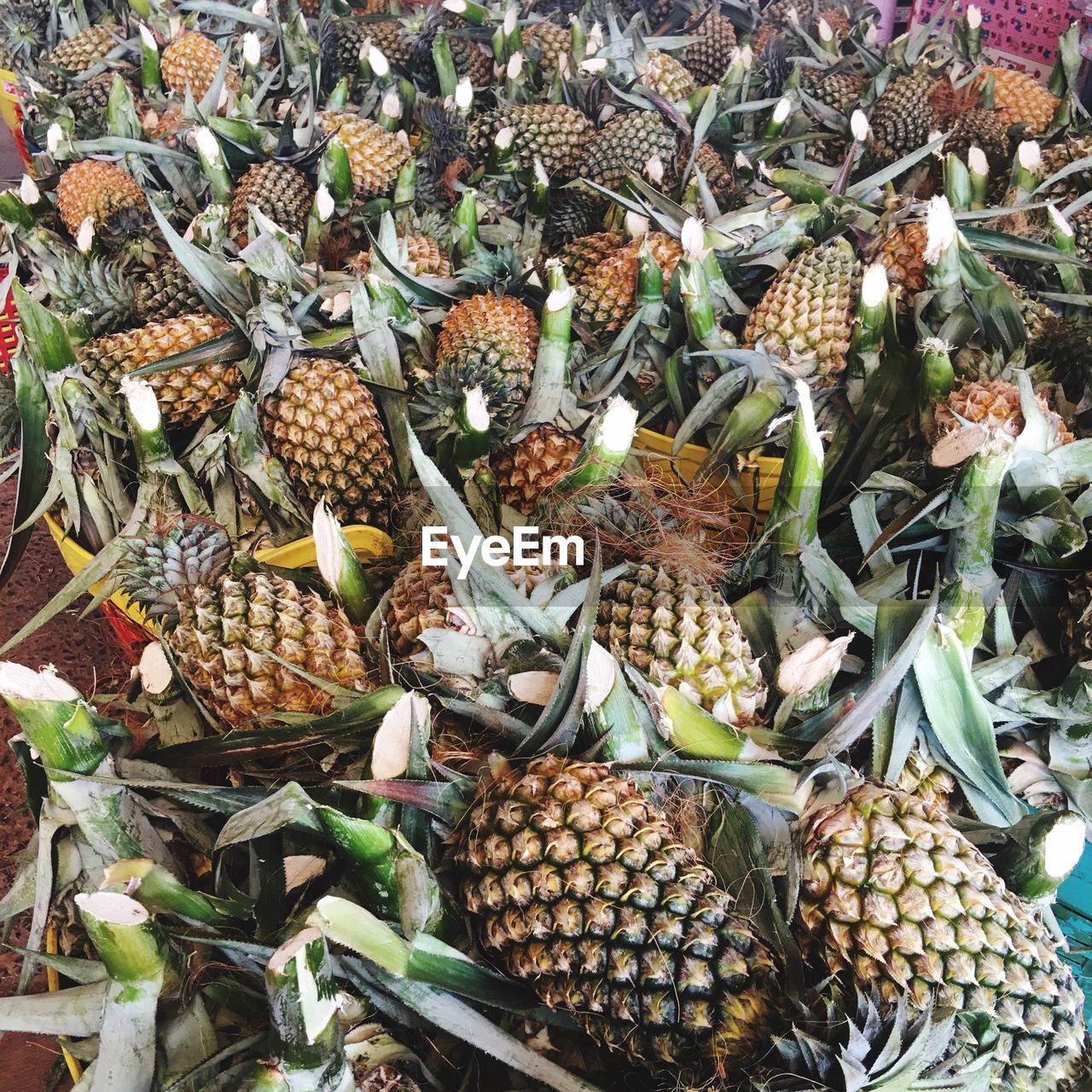 High angle view of pineapples for sale in market