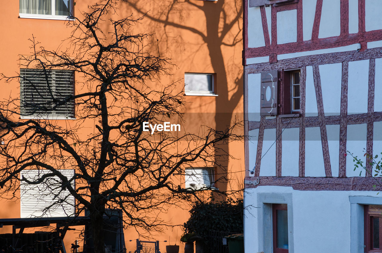 Low angle view of tree and building against sky