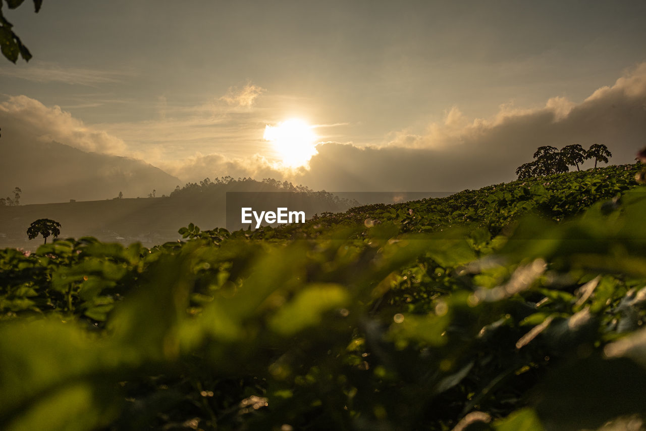 SCENIC VIEW OF MOUNTAINS AGAINST SKY DURING SUNSET