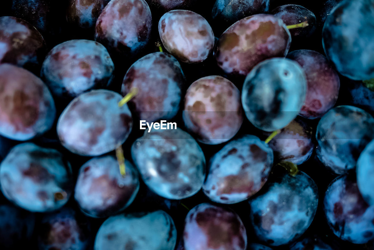 FULL FRAME SHOT OF BERRIES