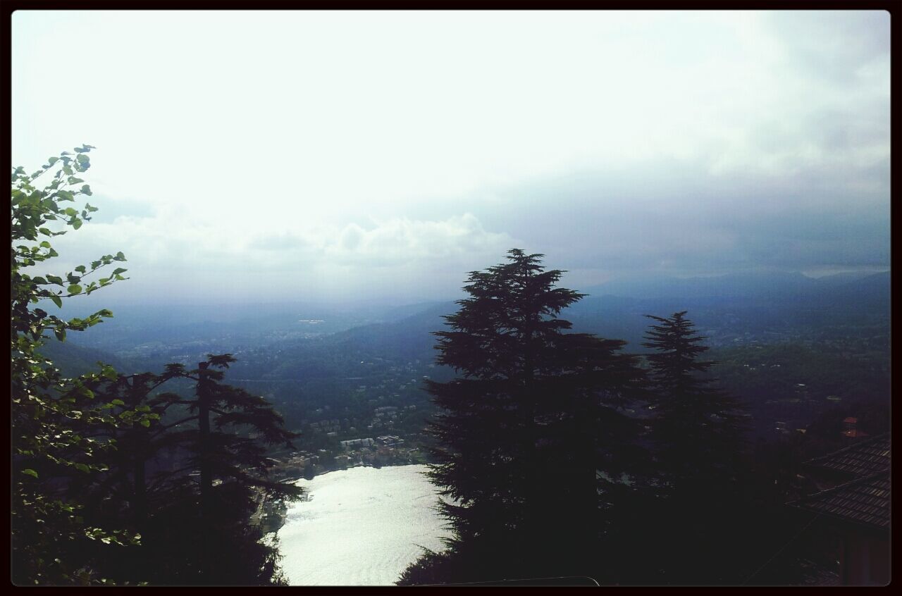 TREES ON LANDSCAPE AGAINST CLOUDY SKY