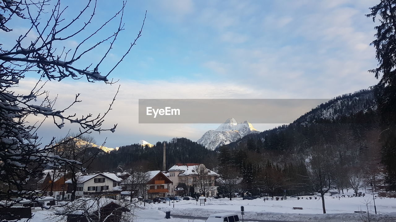 SNOW COVERED HOUSES BY TREES AGAINST SKY