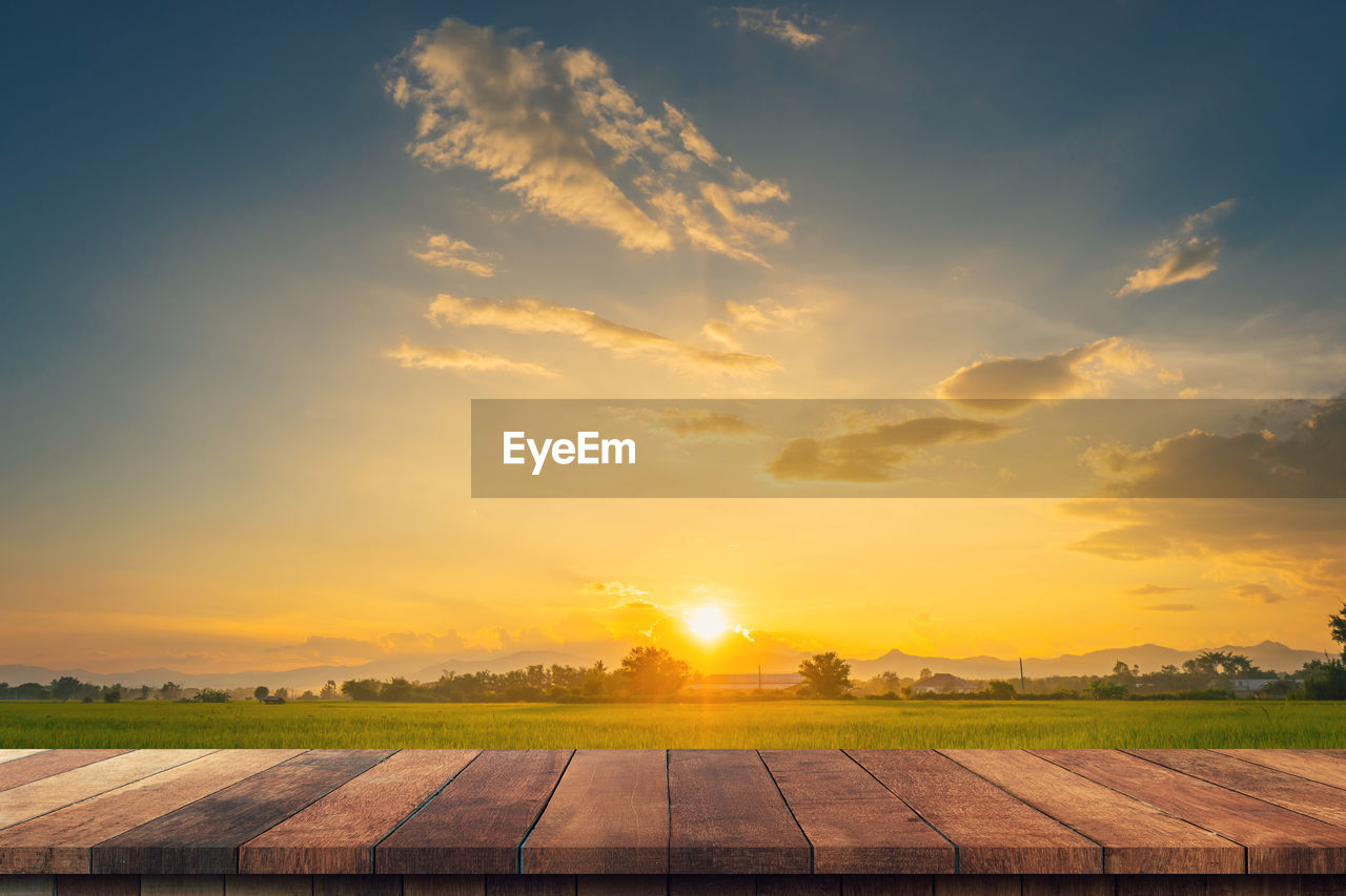 sky, horizon, environment, sunset, sunlight, cloud, landscape, nature, sun, rural scene, beauty in nature, agriculture, field, scenics - nature, dawn, plant, land, tranquility, evening, farm, tranquil scene, no people, sunbeam, idyllic, crop, outdoors, dramatic sky, cloudscape, afterglow, summer, grass, tree, orange color, growth, horizon over land, plain